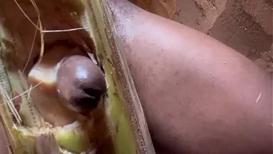 Một kiểu khoái lạc khác làm tôi cương cứng lần nữa